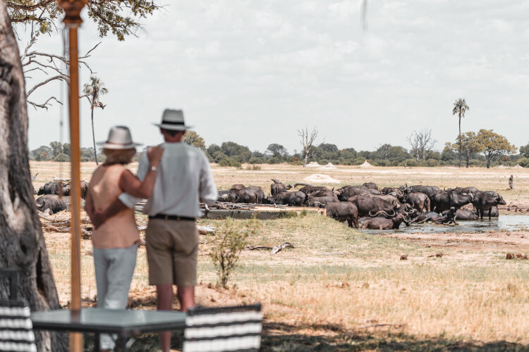 Wilderness Linkwasha Camp