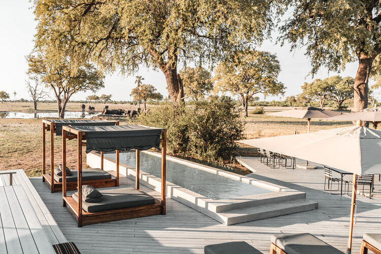 Wilderness Linkwasha Camp
