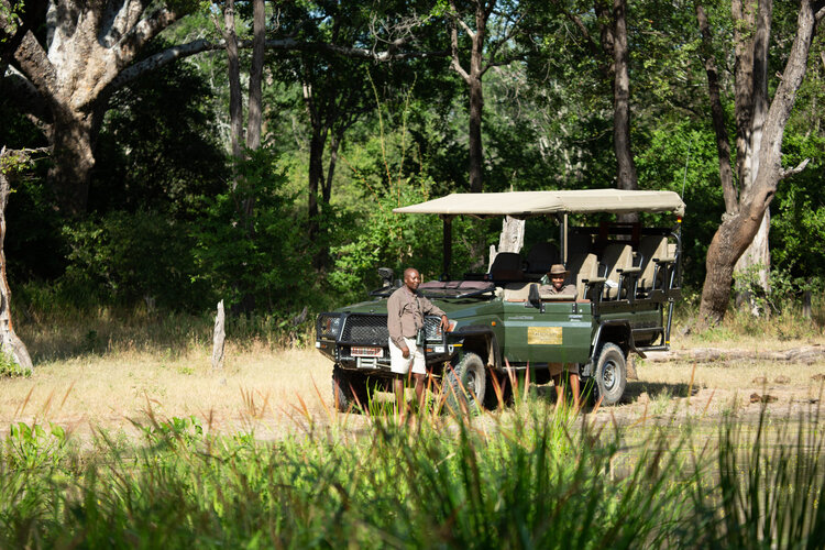 Tembo Plains