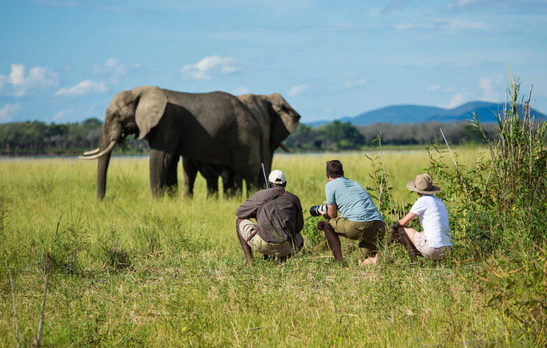 Tembo Plains