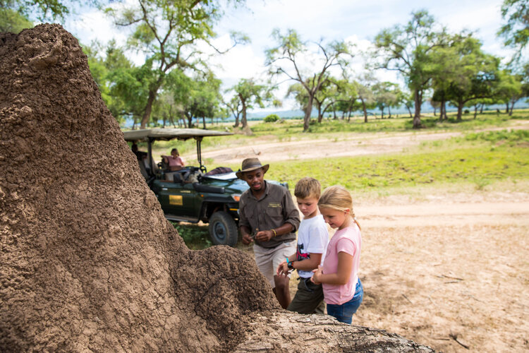 Tembo Plains