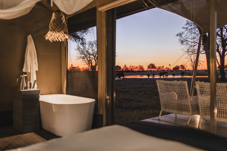 Wilderness Linkwasha Camp