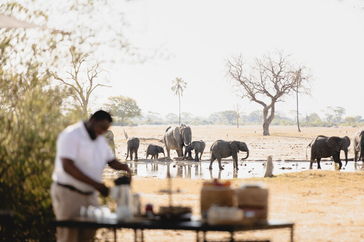 Wilderness Linkwasha Camp