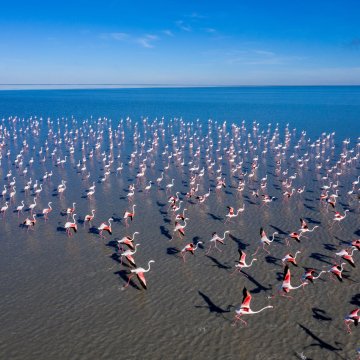 Botswana - nezapomenutelný zážitek v nedotčené divočině