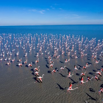 Botswana - nezapomenutelný zážitek v nedotčené divočině