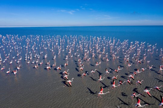 Botswana - nezapomenutelný zážitek v nedotčené divočině