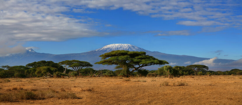 Tanzanie