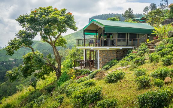 Madulkelle Tea & Eco Lodge