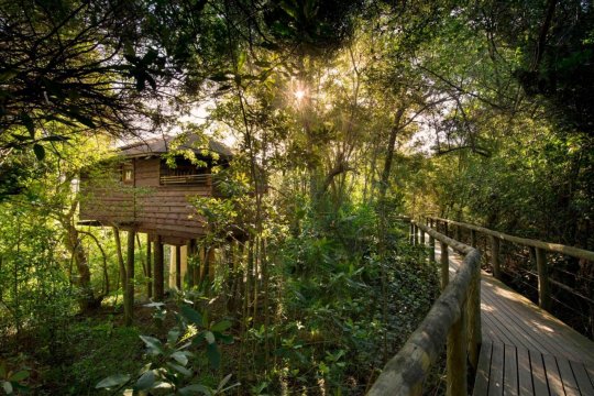 Tsala Treetop Lodge