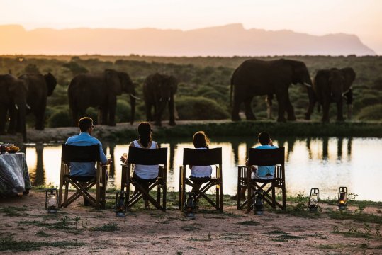 Jabulani Safari