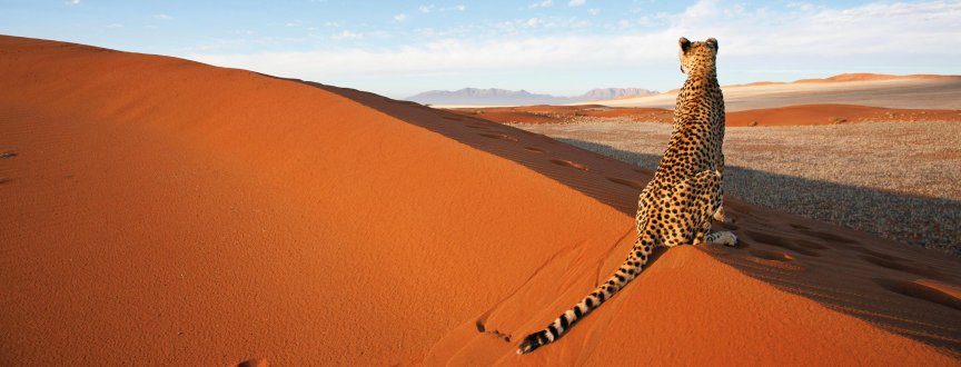 Zažij divokou krásu Namibie na vlastní kůži