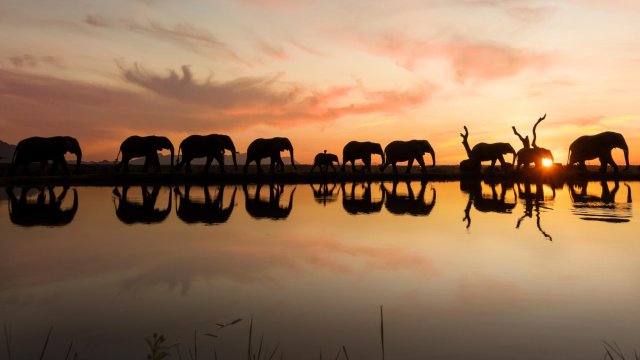 Safari v Krugerově národním parku - tam, kde vládne příroda