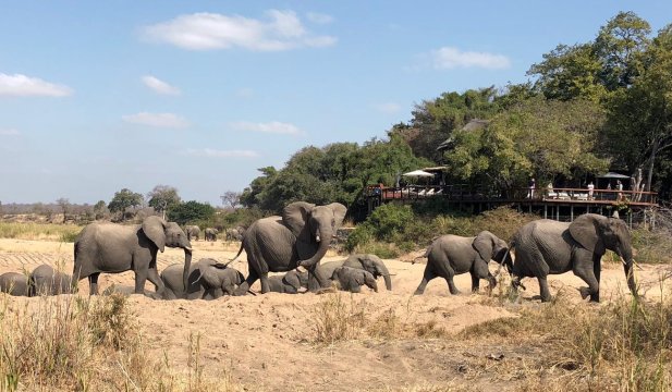 Jock Safari Lodge