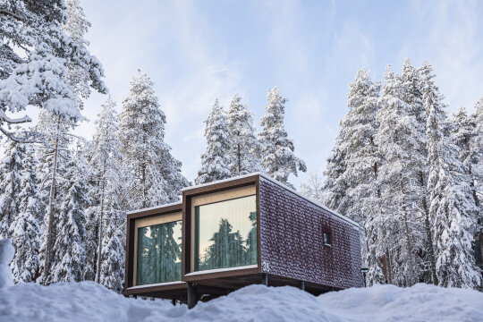 Arctic TreeHouse