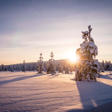 Zažijte kouzelný týden v zimní krajině Santa Clause