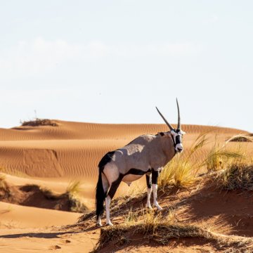 Objevte jedinečnou Namíbii