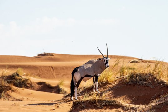Objevte jedinečnou Namíbii